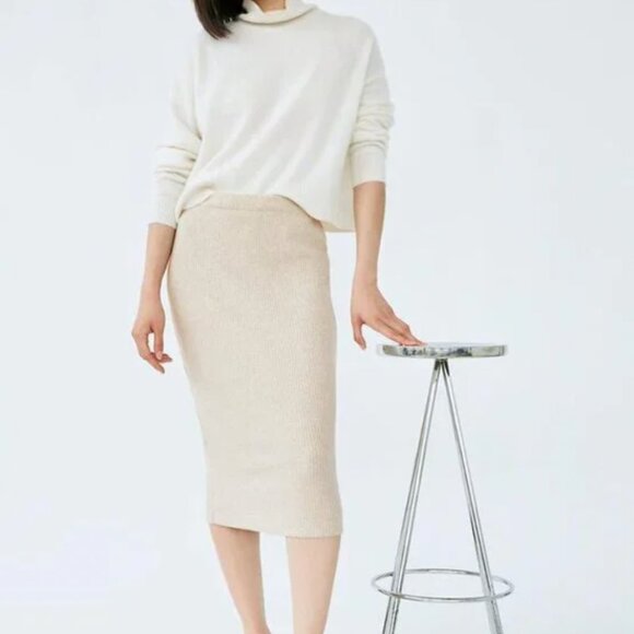 Aritzia Dresses & Skirts - Aritzia Babaton Traverse Skirt